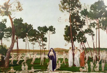 Der Wald am Ende der Welt